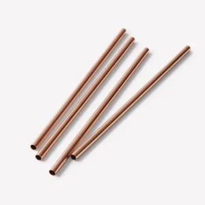 2 Straight Copper Straws With Sisal Fibre Cleaner | Easy To Clean | Travel Apt