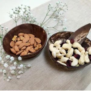 Coconut Shell Bowls | Serveware | Snack Bowl | Small | Set Of 2