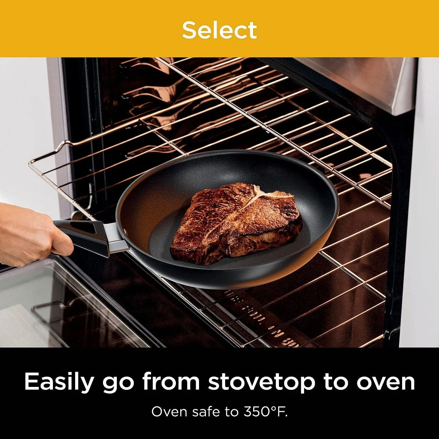 Ninja Neverstick Select 8-Inch Fry Pans