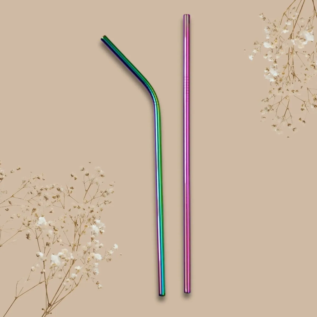 Rainbow Colour Stainless Steel Straws With Sisal Fibre Cleaner | Pack Of 2