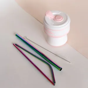Rainbow Colour Stainless Steel Straws With Sisal Fibre Cleaner | Pack Of 2